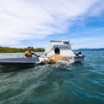 U.S. Army demonstrates autonomous boat swarm in the Philippines (U.S. Army photo by Pfc. Peter Bannister)